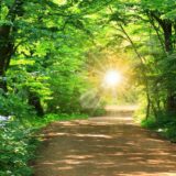 森の中の道、その向こうに光が見える